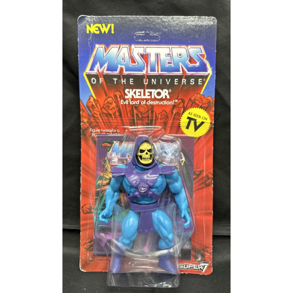 Masters of The Universe Skeletor 5.5" MOTU Action Figure Super7 New Unpunched